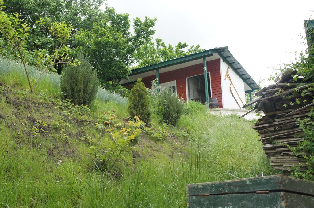 Casa Bella Turda Hotel ภายนอก รูปภาพ